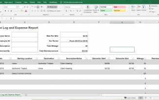 Mileage log and expense report example - employee reimbursement